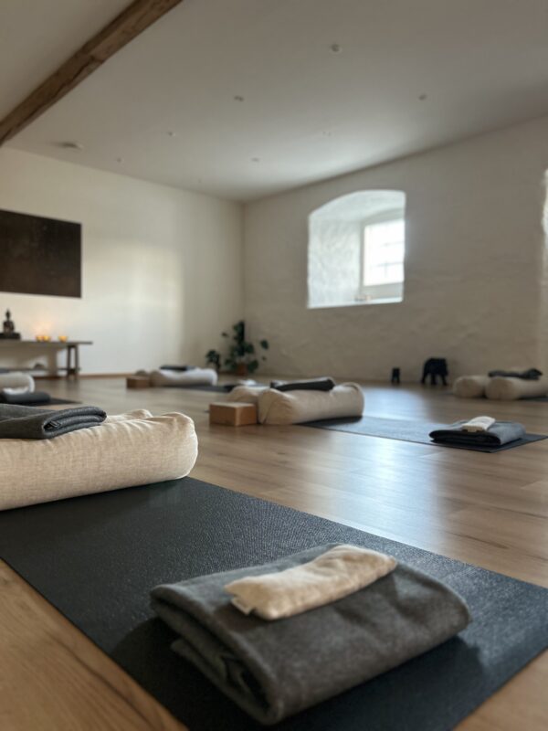NYHET! <br/> Hösten 2025<br/> Vinyasa Yoga<br/>Söndagar<br/>28 Sept. - 7 Dec.